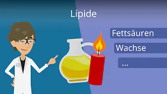 Lipide