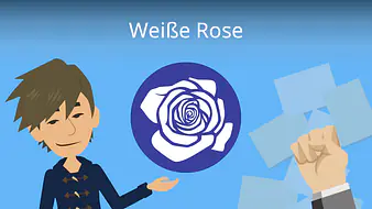 Weiße Rose