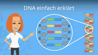 DNA einfach erklärt