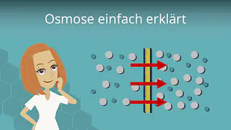 Osmose einfach erklärt
