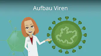 Viren Aufbau