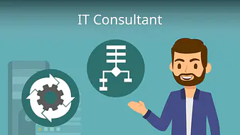 IT Consultant