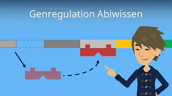 Genregulation Abiwissen