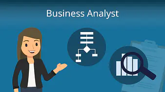 Business Analyst