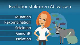 Evolutionsfaktoren Abiwissen