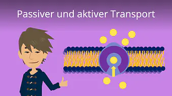 Passiver und Aktiver Transport