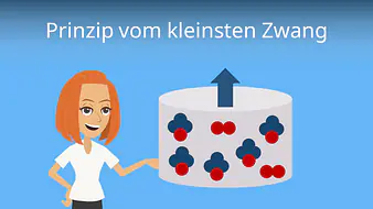 Prinzip vom kleinsten Zwang