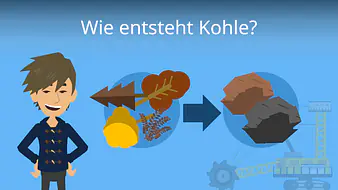 Wie entsteht Kohle? 