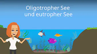 Oligotropher See und eutropher See