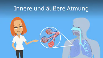 Innere und äußere Atmung