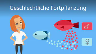 Geschlechtliche Fortpflanzung