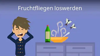 Fruchtfliegen loswerden