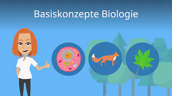 Basiskonzepte Biologie