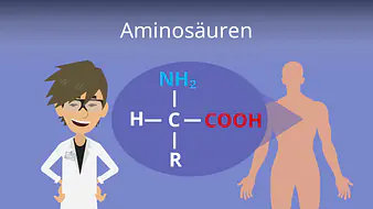 Aminosäuren