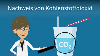 Nachweis von Kohlenstoffdioxid