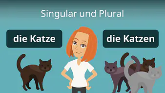 Singular und Plural