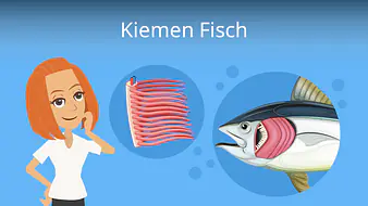 Kiemen Fisch