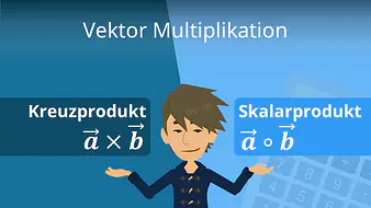 Vektor Multiplikation