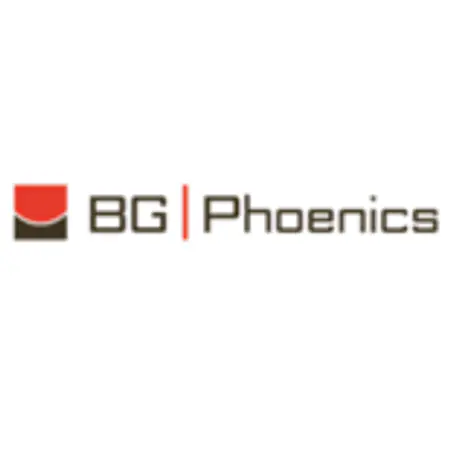 Logo von BG-PHOENICS