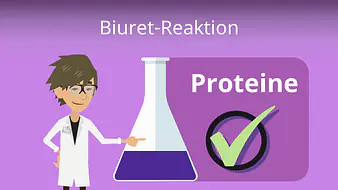 Biuret-Reaktion