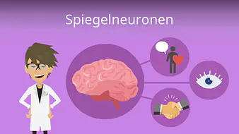 Spiegelneuronen