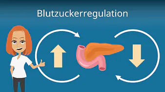Blutzuckerregulation