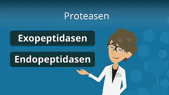 Proteasen