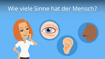 Wie viele Sinne hat der Mensch? 