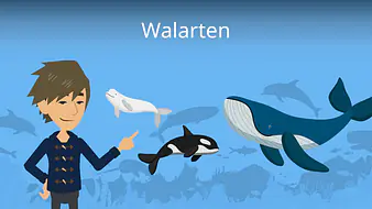 Walarten