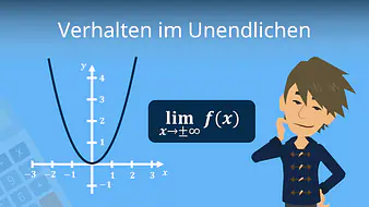 Verhalten im Unendlichen