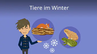 Tiere im Winter