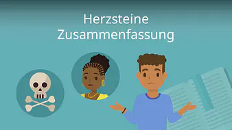 Herzsteine - Zusammenfassung