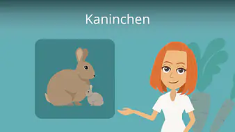 Kaninchen