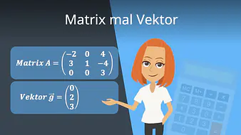 Matrix mal Vektor
