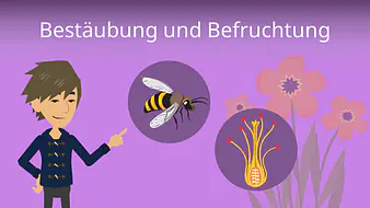 Bestäubung und Befruchtung